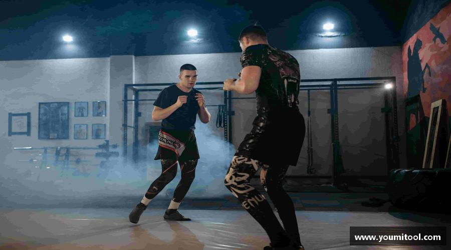 3377平台突破自我，成就非凡！